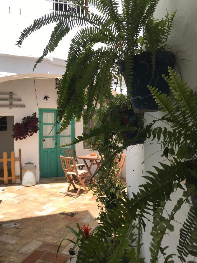 Casa Aguamarina Leilighet Vejer de la Frontera Eksteriør bilde
